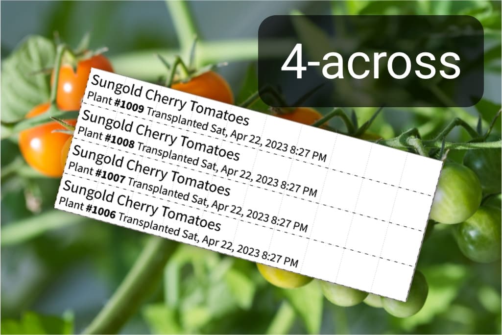 horticulture tag plant stake example